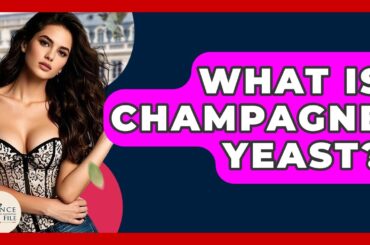 What Is Champagne Yeast? - France Fact File