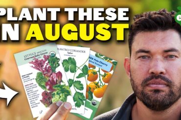 11 Crops You Can  STILL Plant August!