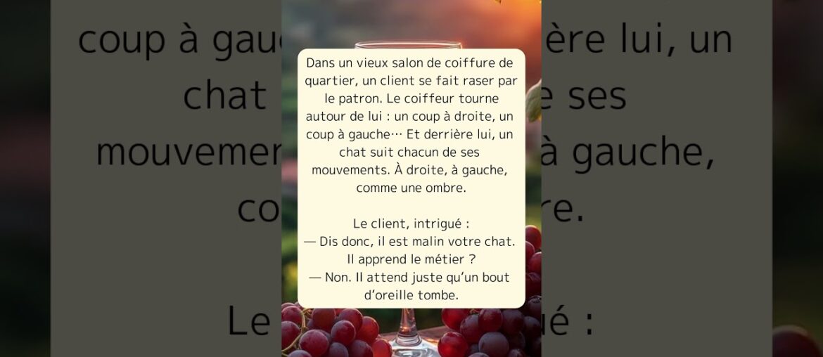 Les blagues du coiffeur et du chat gourmet