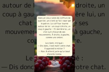 Les blagues du coiffeur et du chat gourmet