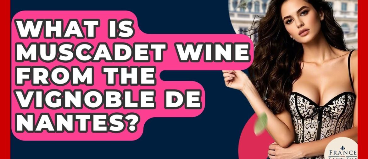 What Is Muscadet Wine From The Vignoble De Nantes? – France Fact File What Is Muscadet Wine From The Vignoble De Nantes? - France Fact File