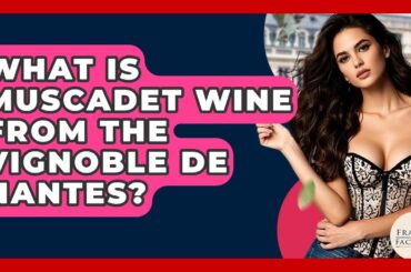 What Is Muscadet Wine From The Vignoble De Nantes? - France Fact File