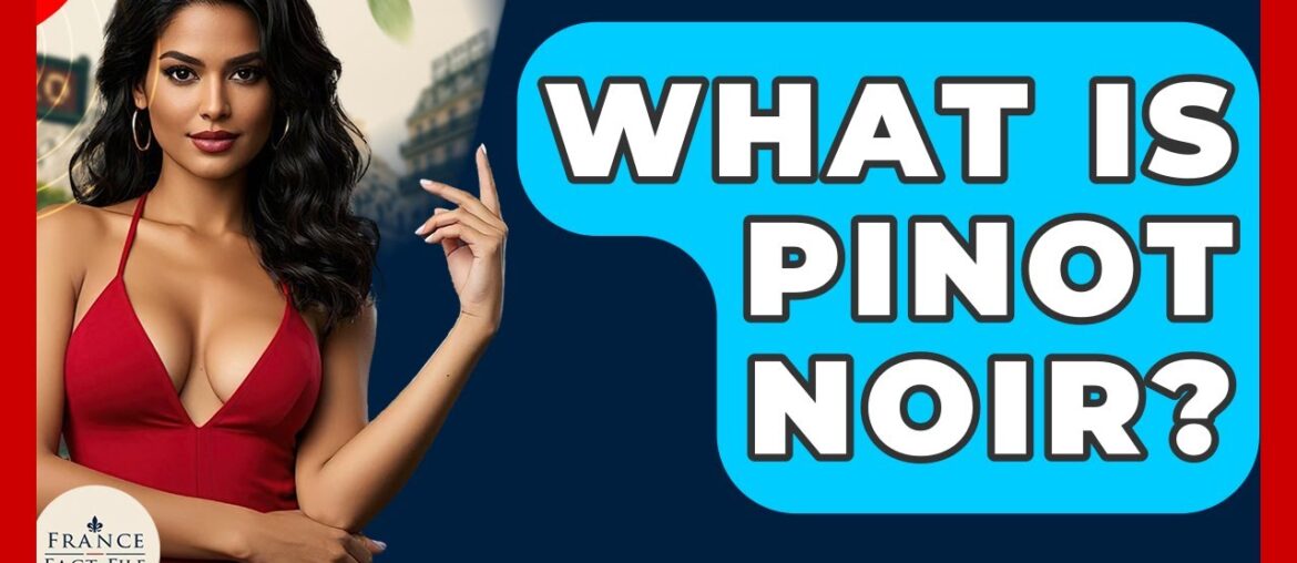 What Is Pinot Noir? - France Fact File