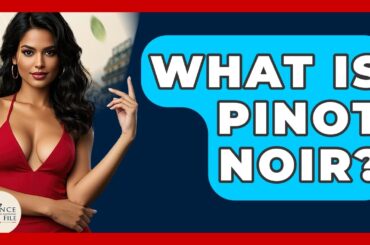 What Is Pinot Noir? - France Fact File