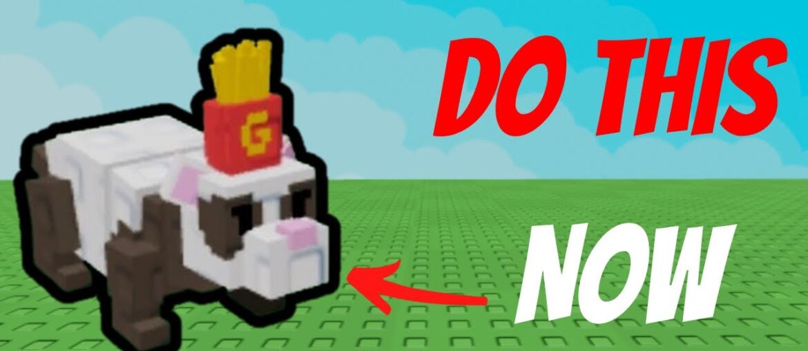 DO THIS FOR INFINITE FRENCH FRY FERRETS Before IT’S GONE! | Grow a Garden DO THIS FOR INFINITE FRENCH FRY FERRETS Before IT'S GONE! | Grow a Garden