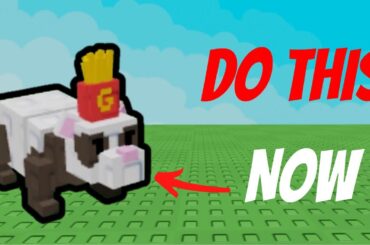 DO THIS FOR INFINITE FRENCH FRY FERRETS Before IT'S GONE! | Grow a Garden