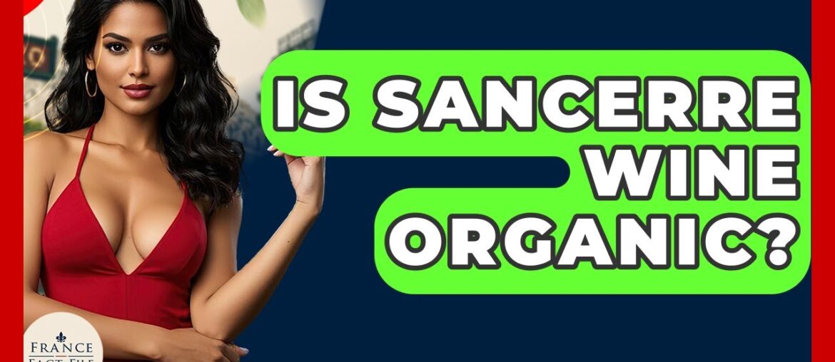 Is Sancerre Wine Organic? – France Fact File Is Sancerre Wine Organic? - France Fact File