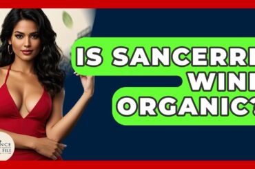 Is Sancerre Wine Organic? - France Fact File