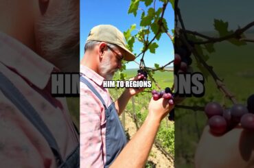 Inside the Life of Millionaire Wine Estate Owner, Maximillian King