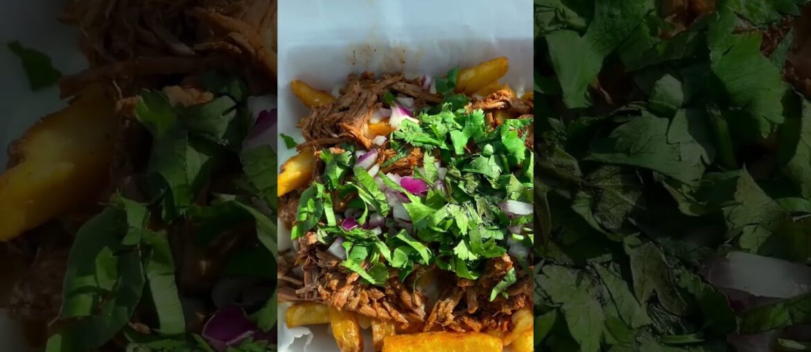 Birria Loaded French Fries