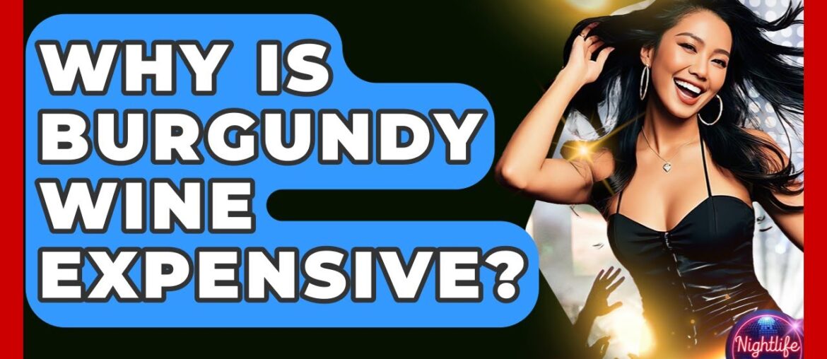 Why Is Burgundy Wine Expensive? – Nightlife Experiences Why Is Burgundy Wine Expensive? - Nightlife Experiences