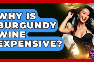 Why Is Burgundy Wine Expensive? - Nightlife Experiences