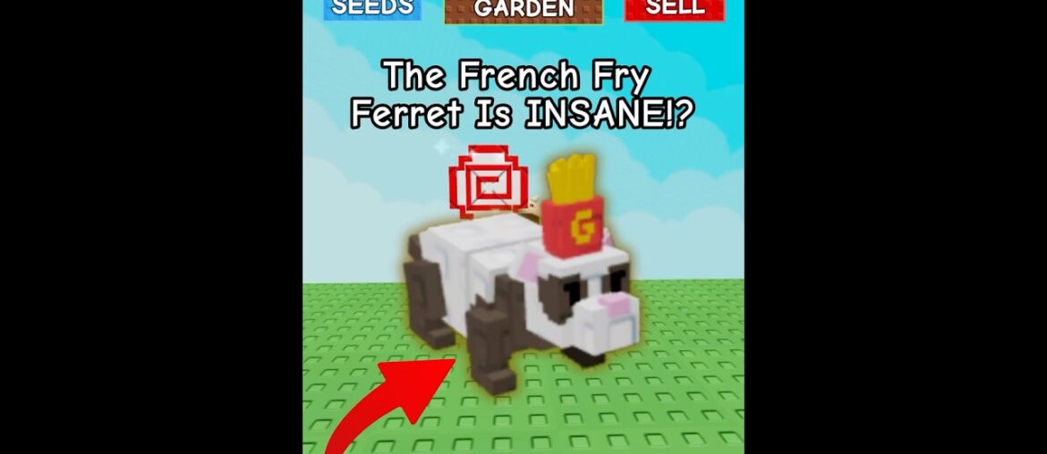 The French Fry Ferret Is INSANE!?
