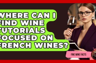 Where Can I Find Wine Tutorials Focused on French Wines? - Fine Wine Facts