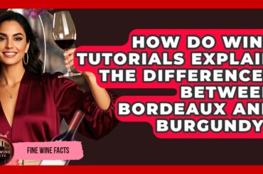 How Do Wine Tutorials Explain The Differences Between Bordeaux And Burgundy? - Fine Wine Facts