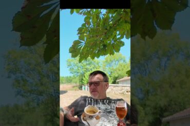 Bordeaux Le Chiminee Royal Review  #travel #frenchwine #bordeauxwine #frenchfoodforforts