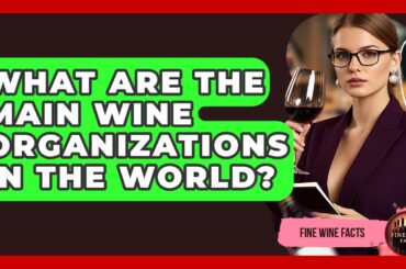 What Are the Main Wine Organizations in the World? - Fine Wine Facts