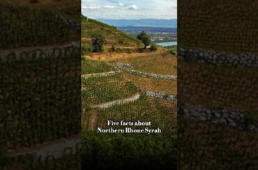 5 Facts About Northern Rhone Syrah