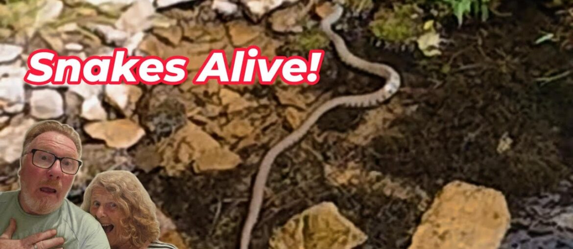 Ep 6 Europe 25 France - Motorhome Adventures