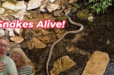 Ep 6 Europe 25 France - Motorhome Adventures