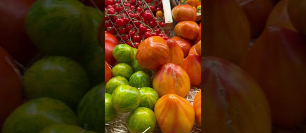 Tomato Heaven in a French Market #food #provincelife #gourmet #shorts #tomato