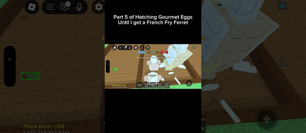 Hatching Gourmet Eggs until I get another French Fry Ferret | Part 5 | Grow a Garden