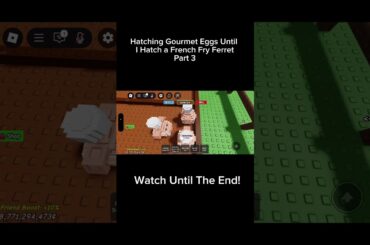 Hatching Gourmet Eggs until I get a French Fry Ferret | Part 3 | Grow a Garden