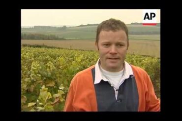 Champagne expert applies French techniques to 'English sparkling wine'.