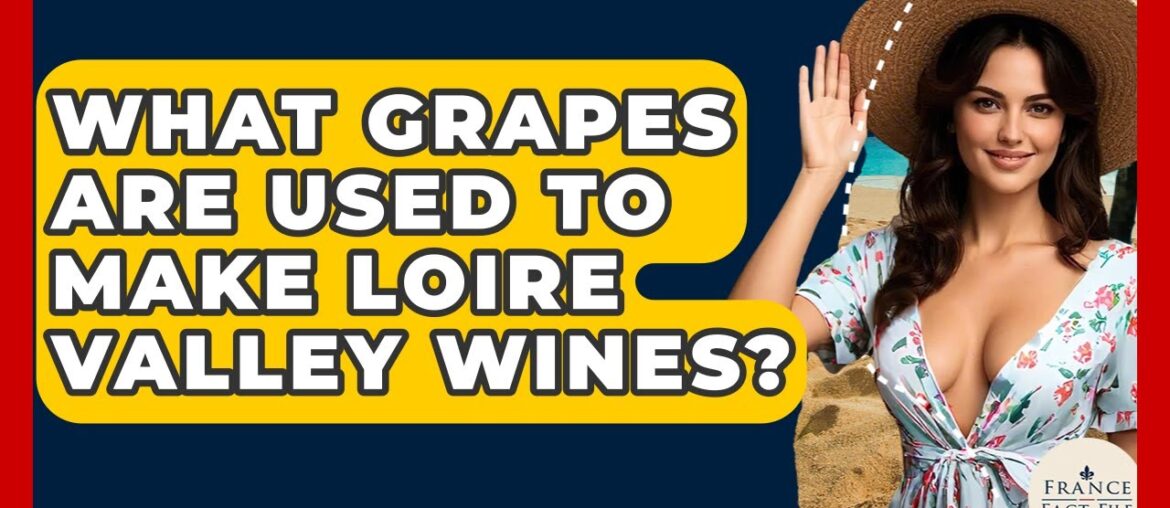 What Grapes Are Used To Make Loire Valley Wines? - France Fact File