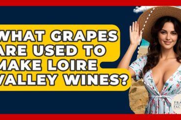 What Grapes Are Used To Make Loire Valley Wines? - France Fact File