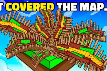 50 Taco Fern Seeds BROKE My Garden!