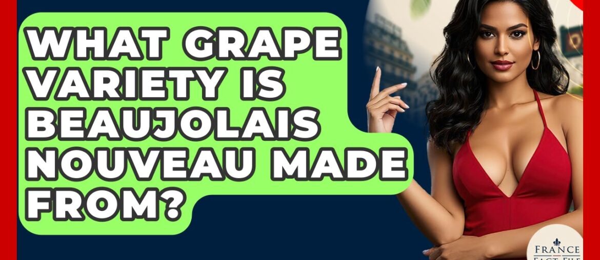 What Grape Variety Is Beaujolais Nouveau Made From? - France Fact File