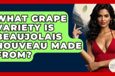 What Grape Variety Is Beaujolais Nouveau Made From? - France Fact File