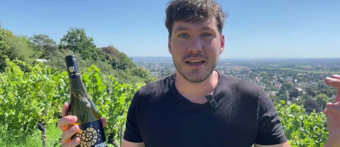 Tasting 1,368 Grape Varieties: Goldriesling – A Rare French Variety only Found in Saxony Today. Tasting 1,368 Grape Varieties: Goldriesling - A Rare French Variety only Found in Saxony Today.