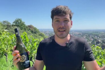 Tasting 1,368 Grape Varieties: Goldriesling - A Rare French Variety only Found in Saxony Today.