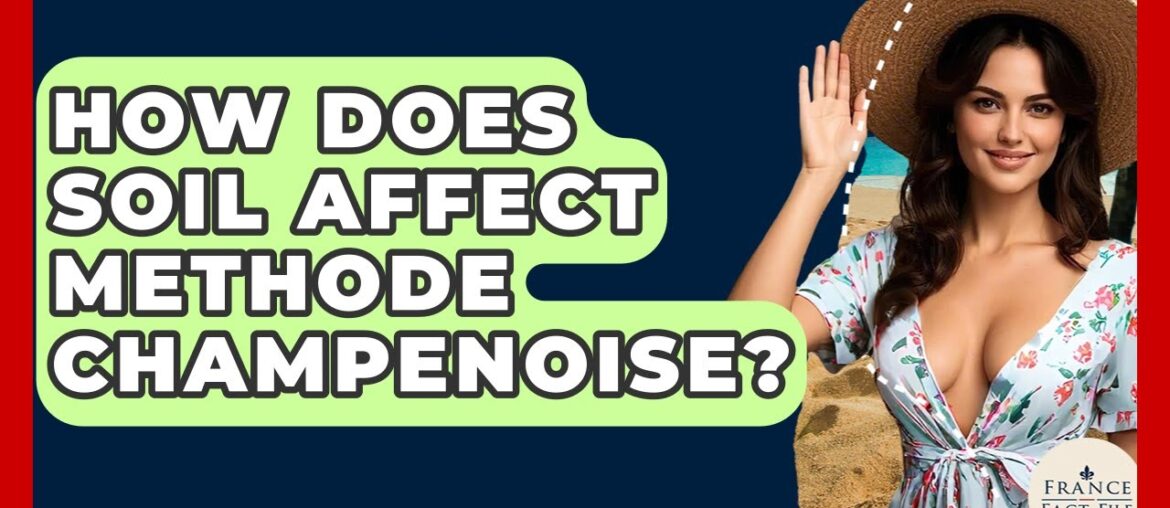 How Does Soil Affect Methode Champenoise? - France Fact File