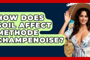 How Does Soil Affect Methode Champenoise? - France Fact File