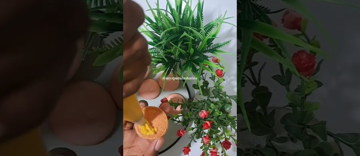 French Macarons | Homemade Gourmet Desserts #shorts #yt French Macarons | Homemade Gourmet Desserts #shorts #yt