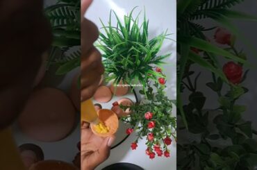 French Macarons | Homemade Gourmet Desserts #shorts #yt