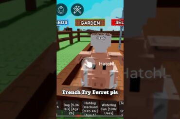 Opening 3 Gourmet Eggs.. French Fry Ferret?? #roblox #growagarden