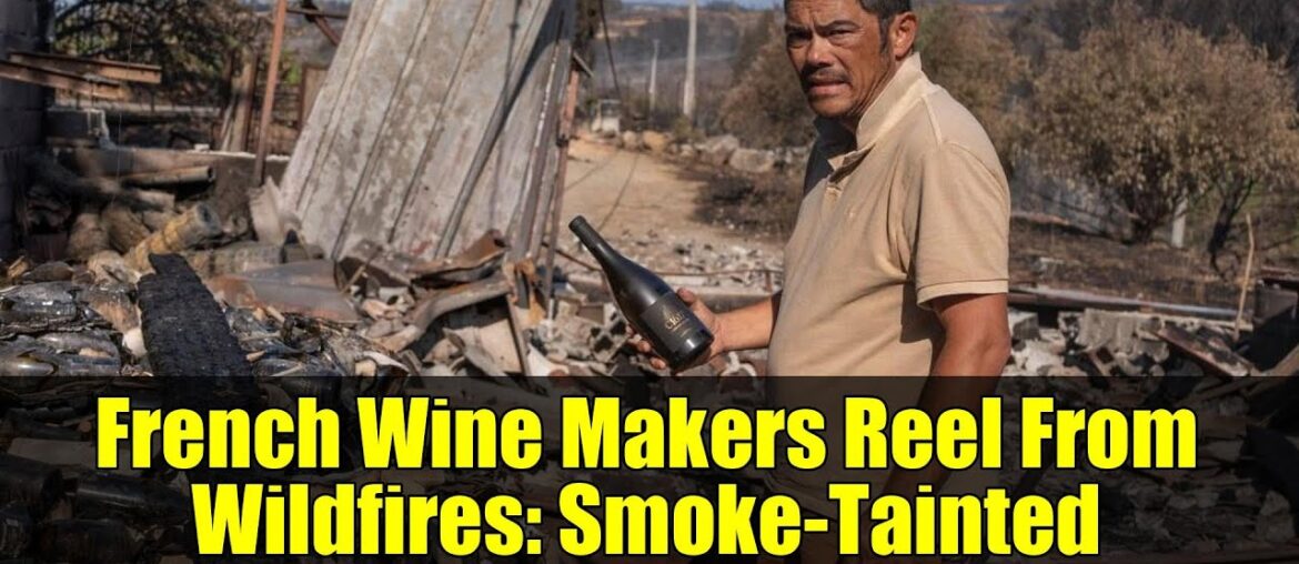 French Wine Makers Reel From Wildfires: Smoke-Tainted Harvest