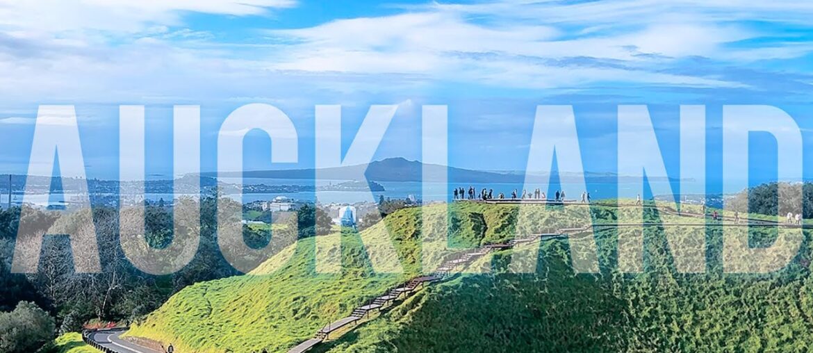 A Warm Winter Day in Auckland: Howick Brunch, French Wine Market & Mt Eden Views