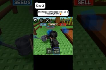 Day:2 hatching gourmet eggs until i get a French Fry Ferret #growagarden #roblox #blowthisaccountup