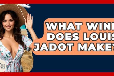 What Wine Does Louis Jadot Make? - France Fact File