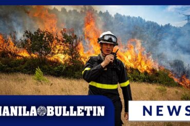 France's largest wildfire in decades contained after devastating southern region and wine country