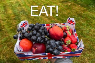 A Taste of Heaven: Food, Faith, and French Tomatoes