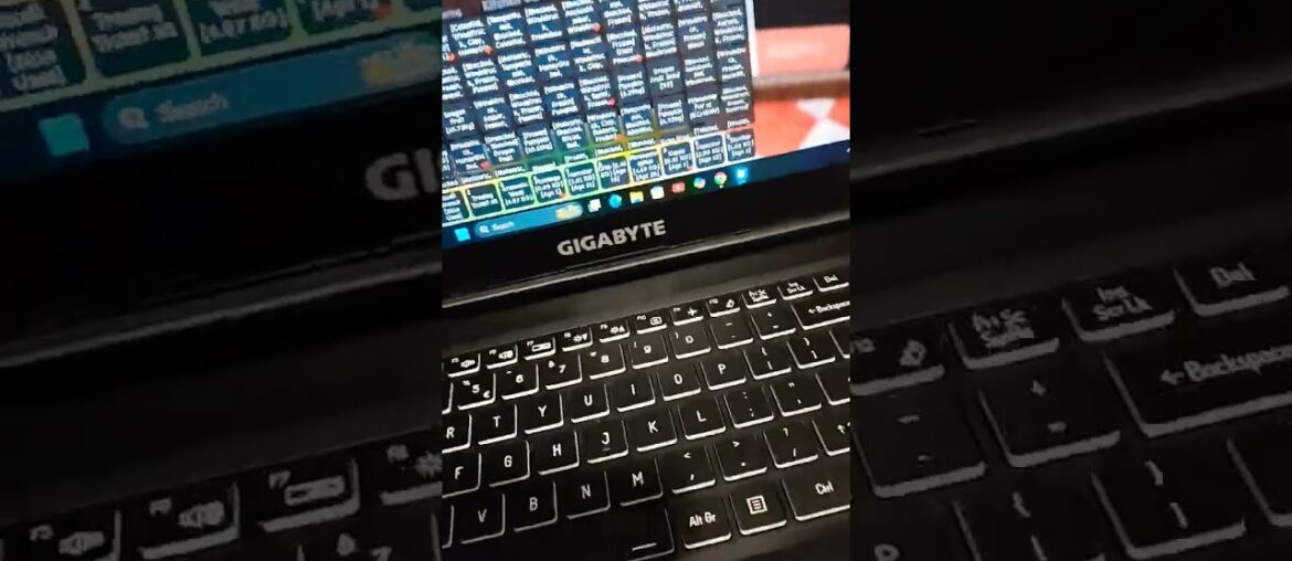 i got a pet named french fry ferret from an Gourmet egg #nolaeats #zagat #cajunstyle