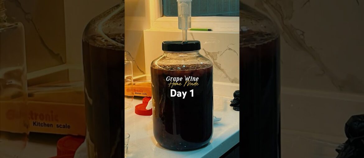 Day 1 of Making Grape Wine at Home Day 1 of Making Grape Wine at Home