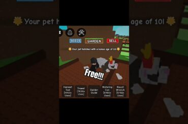 Best Reward Pulled AGAIN from Gourmet Eggs!