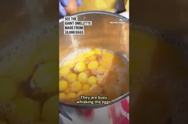 See the giant omelette made from 10,000 eggs